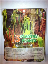 AROMATIC PLANT BATH ( BANO DE PLANTAS ) 13 PLANTS ( 13 PLANTAS )