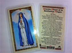 HOLY PRAYER CARDS FOR THE BLESSED VIRGIN IN SPANISH SET OF 2 WITH FREE U.S. SHIPPING!
