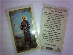 HOLY PRAYER CARDS FOR SAINT FRANCIS (SAN FRANCISCO) IN ENGLISH SET OF 2 WITH FREE U.S. SHIPPING!