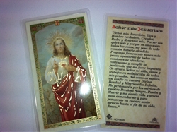 HOLY PRAYER CARDS FOR THE PRAYER TO THE SACRED HEART OF JESUS IN SPANISH (SENOR MIO JESUCRISTO) SET OF 2 WITH FREE U.S. SHIPPING!