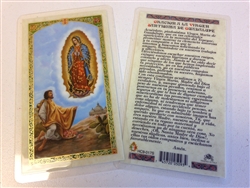 HOLY PRAYER CARDS FOR OUR LADY OF GUADALUPE WITH SAN JUAN DIEGO PRINTED IN SPANISH WITH FREE U.S. SHIPPING!