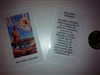 SMALL HOLY PRAYER CARDS FOR SAN ISIDRO LABRADOR IN SPANISH SET OF 2 WITH FREE U.S. SHIPPING!