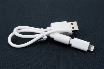 Cable - Regular Type A USB Plug to iPhone Lightning Plug