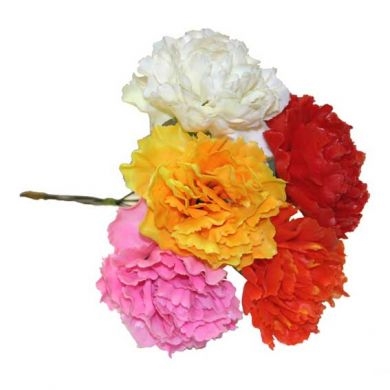 Carnation Pick Assorted. 0406250