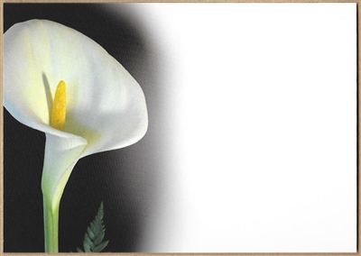 Large Sympathy Card White Calla Lily. 1560051