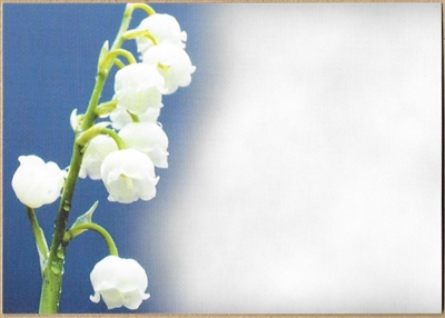 Large Sympathy Card Lily Of The Valley 1560052