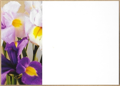 Large Sympathy Card Iris. 1560053