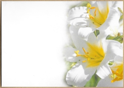 Large Sympathy Card White Lilies. 1560054