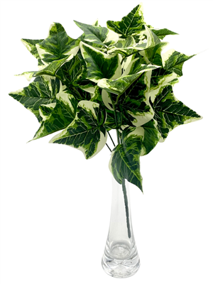 35cm Variegated Ivy Bush x 36 Leaf
