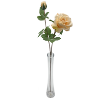67cm Tintagel Rose Cream
