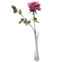 67cm Tintagel Rose Mauve