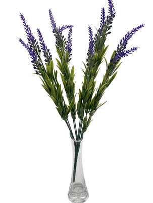 Lavender by 12 Purple