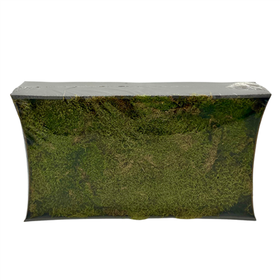 Natural Green Moss Tray