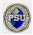 2021 Penn St. State Nittany Lions "Outback Bowl" Championship Football Ring!