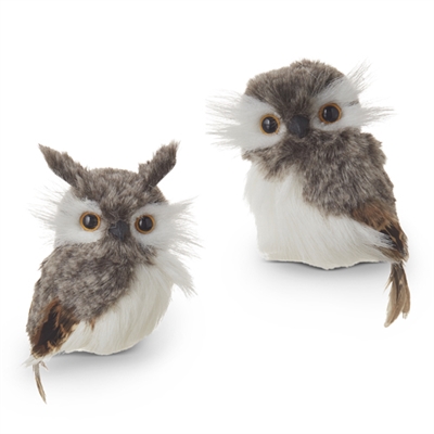 RAZ - 5 inch Owl Ornament - Set of 2