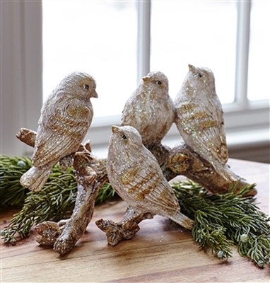 Melrose - Birds On A Branch