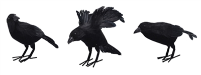 Black Feathered Crow Figurines - Set of 3