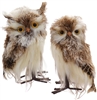Kurt Adler - Brown and White Owl w/snow - Set of 2 - C2495