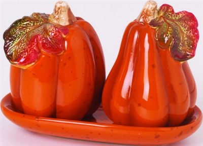 Harvest Pumpkin Salt and Pepper Shaker