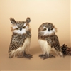 Gerson - Natural Feather Owls - Set of 2 - 9" Tall