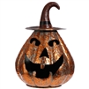 Pumpkin with Witch Hat - 14"
