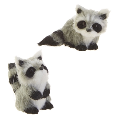 RAZ - Raccoon Ornaments - Set of 2