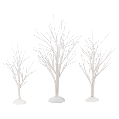 White Bare Branch Trees