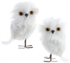 Kurt Adler - White Owl Ornaments - Set of 2 - C2482