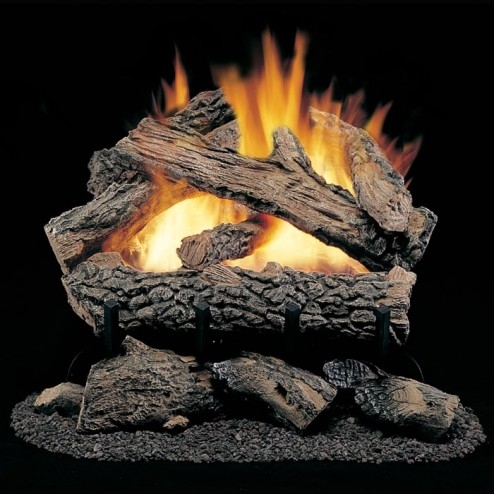 FMI Products Vented Gas Log Set Arcadia