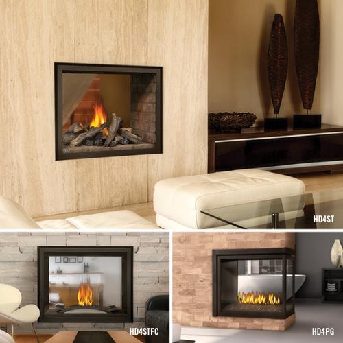 Napoleon BHD4 Direct Vent Fireplace Multi-View Ascent Series