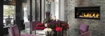 Napoleon BL46 Direct Vent Gas Fireplace Linear
