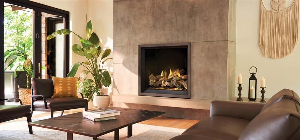 Napoleon EX42 Direct Vent Gas Fireplace Elevation