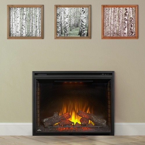 Napoleon NEFB40H Electric Fireplace Ascent Series