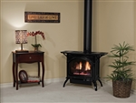 White Mountain Hearth by Empire Direct Vent Cast Iron Gas Stove DVP20 (Compact)