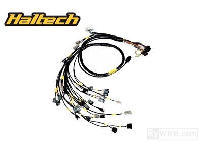 B Series Haltech Elite Engine Harness