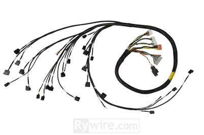 K-Series Rear Wheel Drive Engine Harness