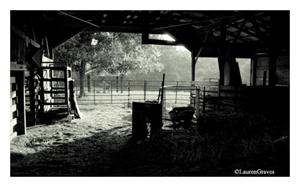 Fine Art Giclee Print - 'Inside the Barn'