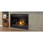 Napoleon Ascent 46 DV Gas Fireplace