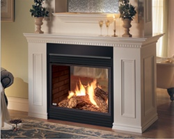 BGD40N1-1E Napoleon Direct Vent Fireplace