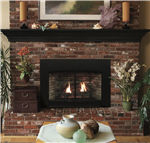White Mountain Hearth - Empire Innsbrook Small Direct-Vent Clean-Face Insert