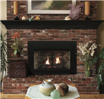 White Mountain Hearth - Empire Innsbrook Medium Direct-Vent Clean-Face Insert