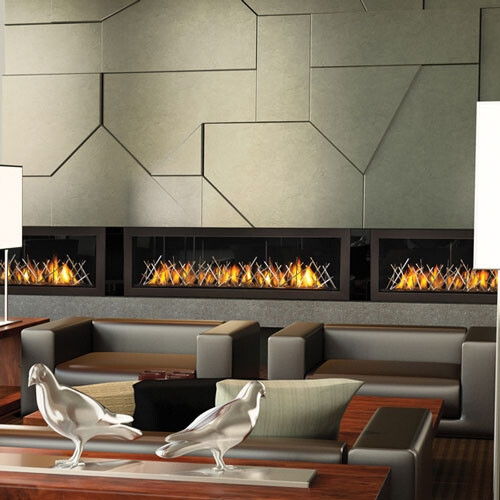 Napoleon LHD62 Linear HD Direct Vent Fireplace