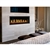 Napoleon Vector Series LV50  Direct Vent Gas Fireplace