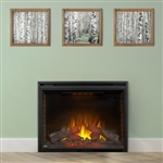 Napoleon Ascent 40 Built-In Electric Fireplace