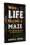 When Life Becomes a Maze by Dr David R Mains