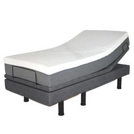 Golden Passport Hi Low Adjustable Bed