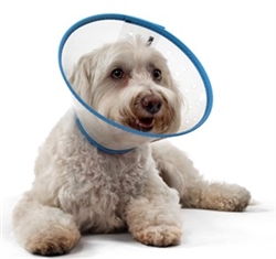 mVet QuickSnap Padded E-Collar Medium Dog, 15cm (7" Depth)