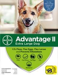 Advantage II For Extra Large Dogs Over 55 lbs, 4 Pack