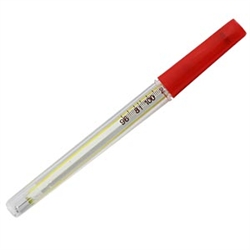 Medical Thermometer With Case (4 Inch)