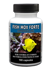 Fish Mox Forte (Amoxicillin) 500mg, 100 Capsules